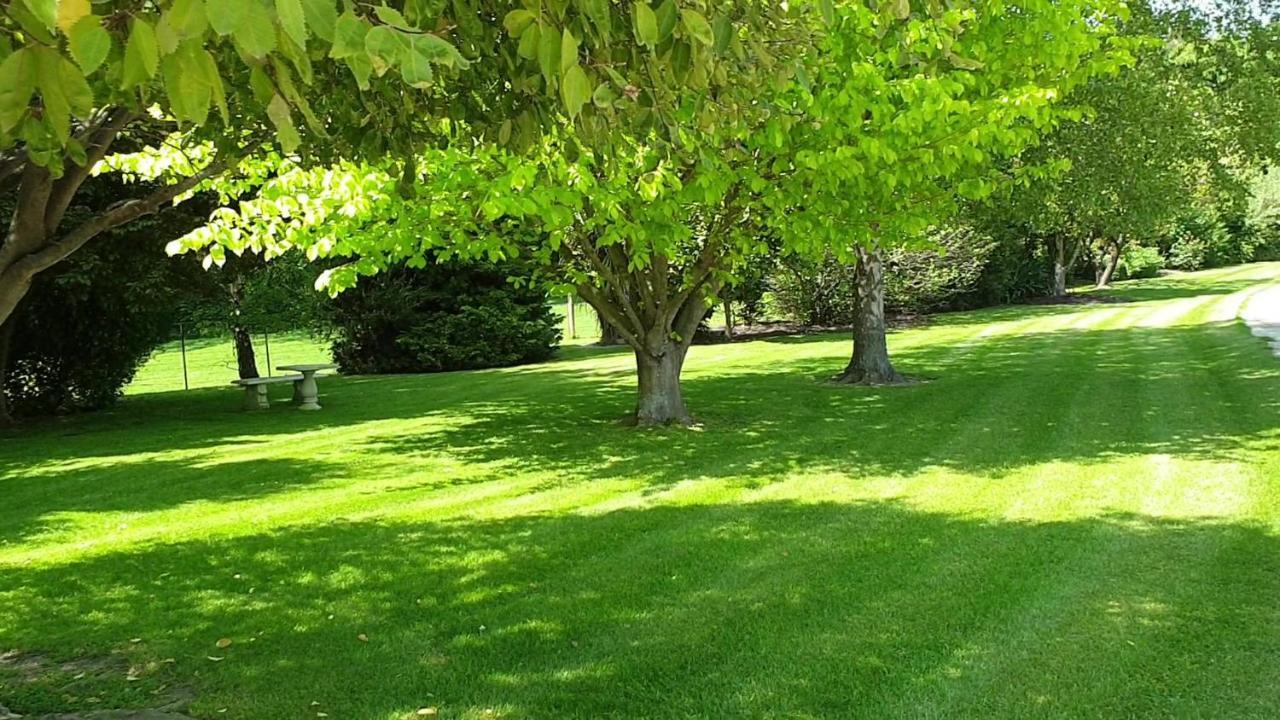 Accommodation At Lakeside أومارا المظهر الخارجي الصورة